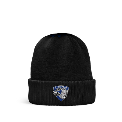 Susquehanna Valley Beanie