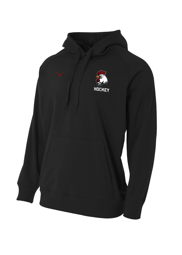 Gamecocks Hockey Logo Solid Tech Fleece Hoodie