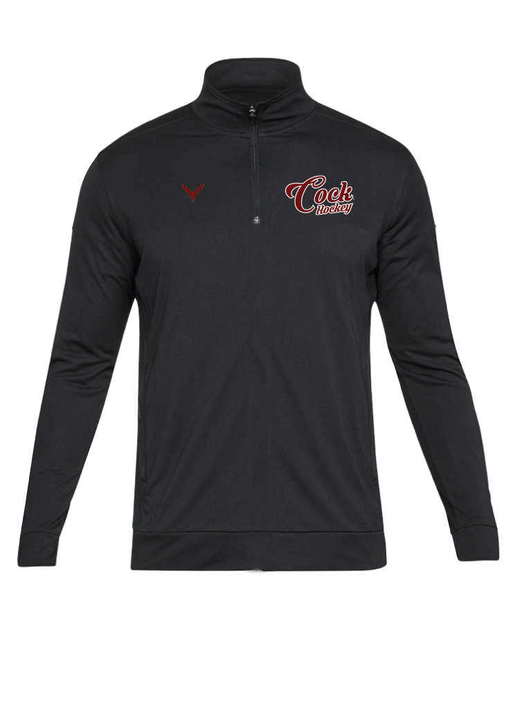 Gamecocks Hockey Script Performance Quarter Zip
