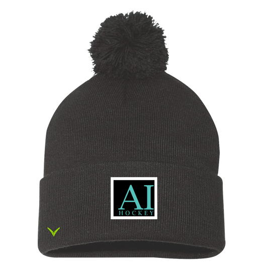 A TEST STORE Pom Beanie / Toque