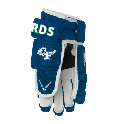 Bluebirds Custom Team Glove