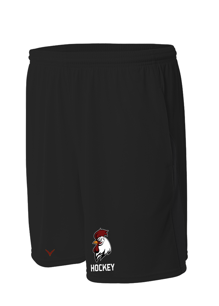 Gamecocks Hockey Logo Essential Short