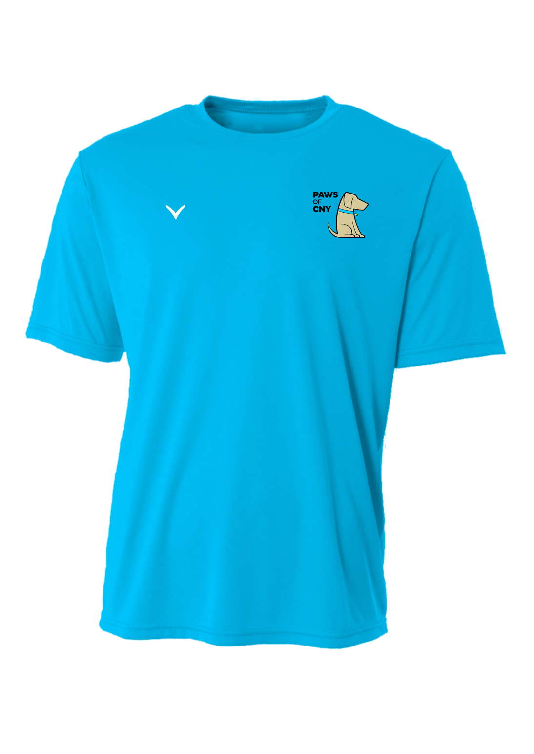 PAWS of CNY Essential T-Shirt