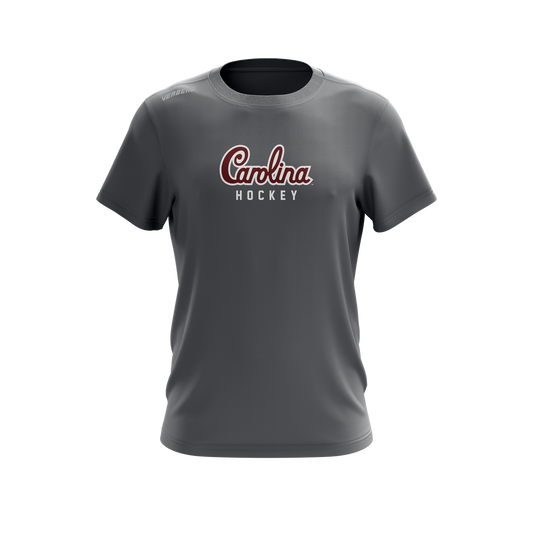 South Caraolina D3 Gray Essential T-Shirt