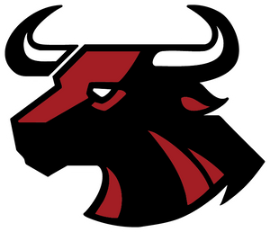 Nashville Mavericks Team Store