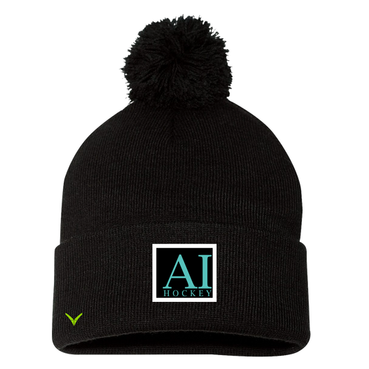 A TEST STORE Pom Beanie / Toque