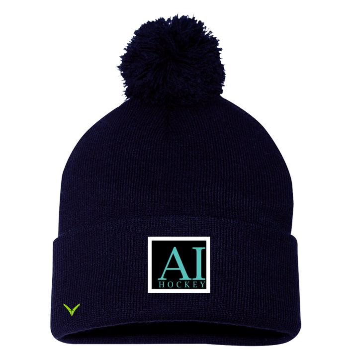 A TEST STORE Pom Beanie / Toque