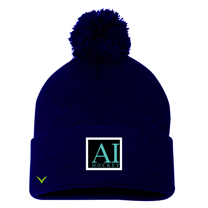 A TEST STORE Pom Beanie / Toque