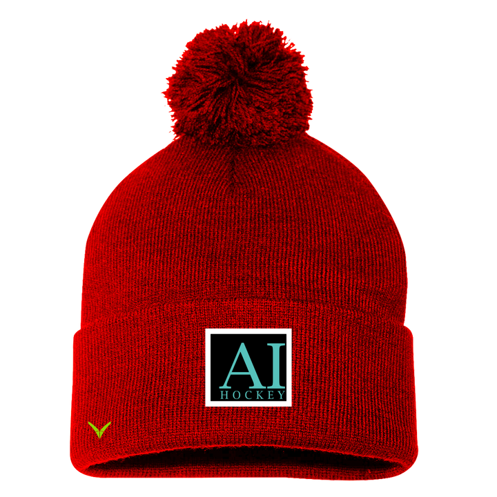 A TEST STORE Pom Beanie / Toque