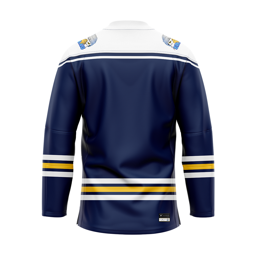 Embry Riddle Authentic Replica Jersey